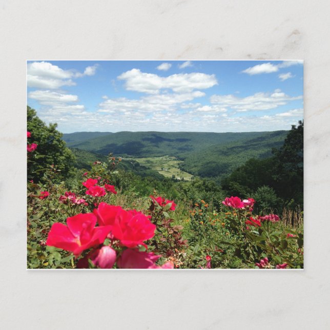 Carte Postale Beersheba Springs Postcard (Devant)