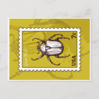 Beetle