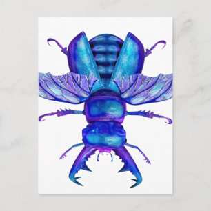 Carte Postale Beetle de la ceinture bleue