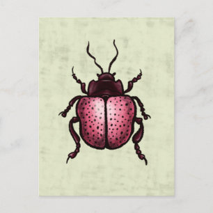 Carte Postale Beetle Rose Cute Bute Art - Insect Lover