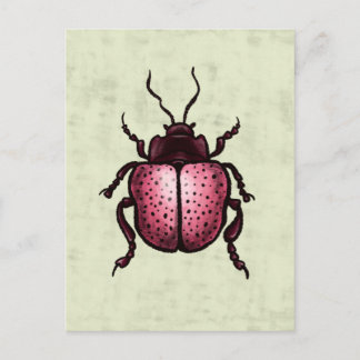 Carte Postale Beetle Rose Cute Bute Art - Insect Lover