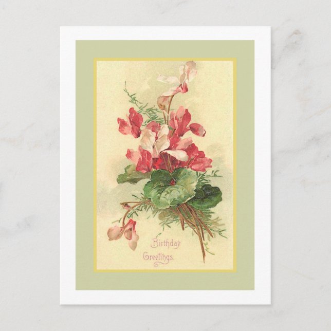 Carte Postale Begonia Vintage Anniversaire Salutations (Devant)