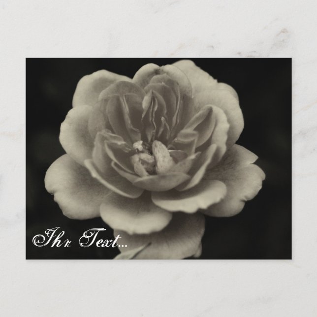 Carte Postale Beileidskarte (Devant)