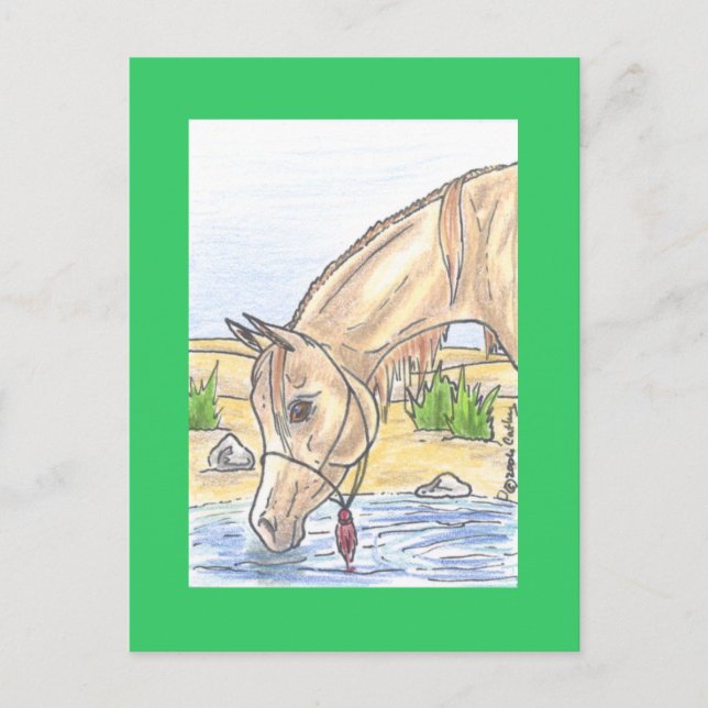 Carte Postale Bejh bint Ahwa (Devant)