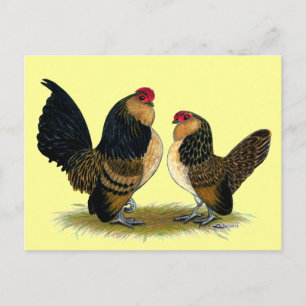 Carte Postale Belge d'Anvers Bantams :  Queue