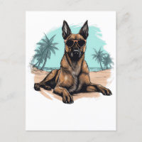 Belge-malinois avec lunettes de soleil à la plage