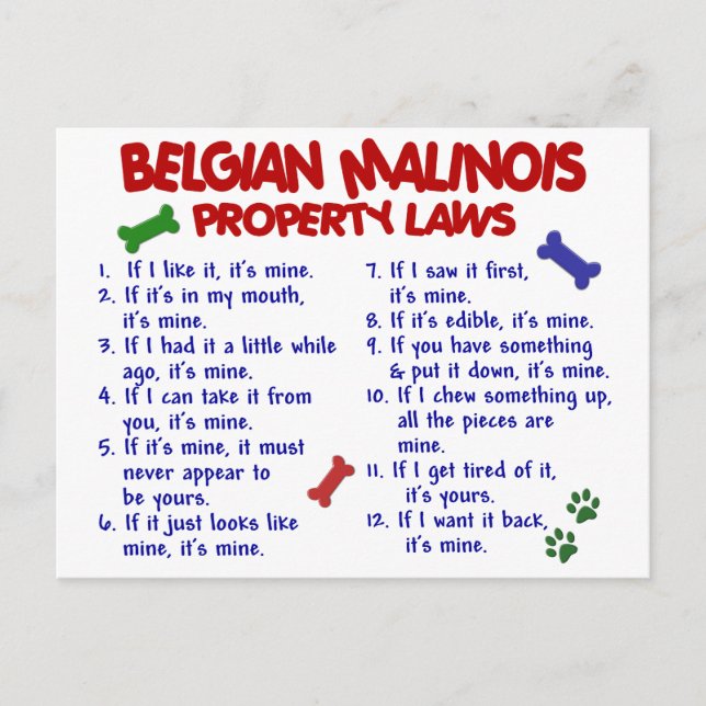 CARTE POSTALE BELGE MALINOIS PL2 (Devant)