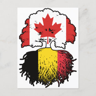 Carte Postale Belgique Belgique Canada drapeau des racines d'arb