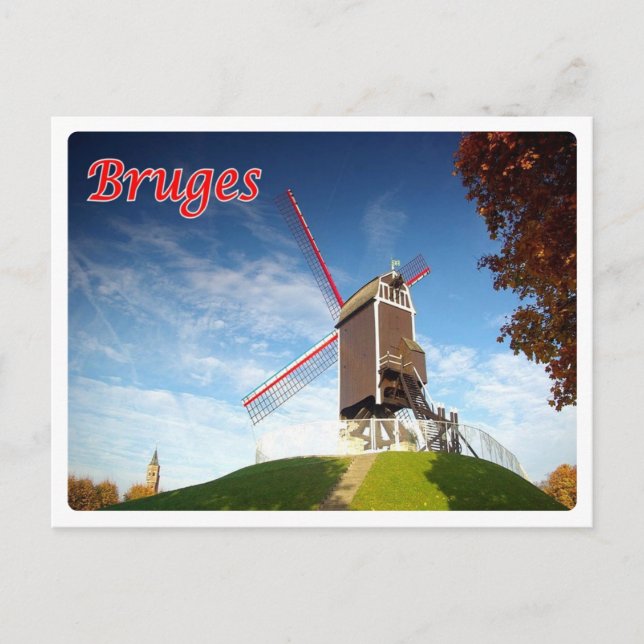 Carte Postale Belgique - Bruges - Moulin - (Devant)