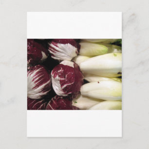 Carte Postale Belgique Endigo