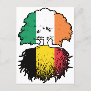 Carte Postale Belgique Irlande Irlande Belgique Drapeau des raci