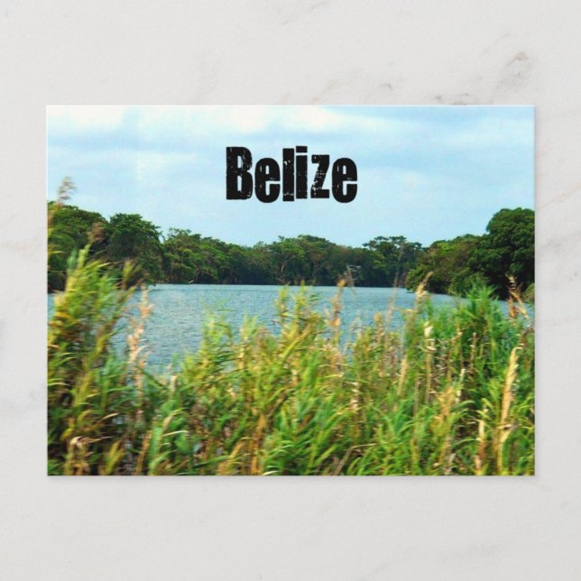 Carte Postale Belize (Devant)