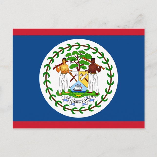 Carte postale Belize Flag (Devant)