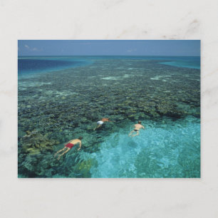 Carte Postale Belize, récif de la barrière, récif Lighthouse, bl