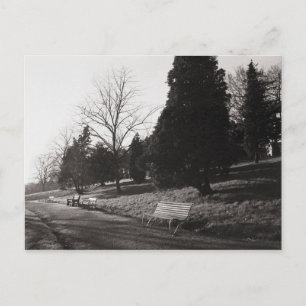 Carte Postale Bell Vue Park, Newport, Mon