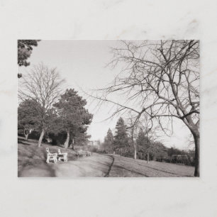 Carte Postale Bell Vue Park, Newport, Mon