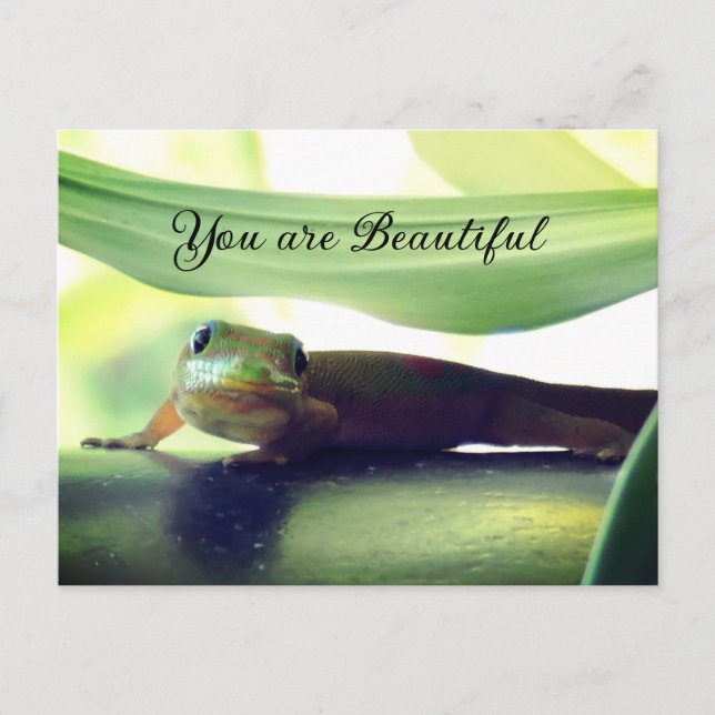 Carte Postale Belle (Devant)