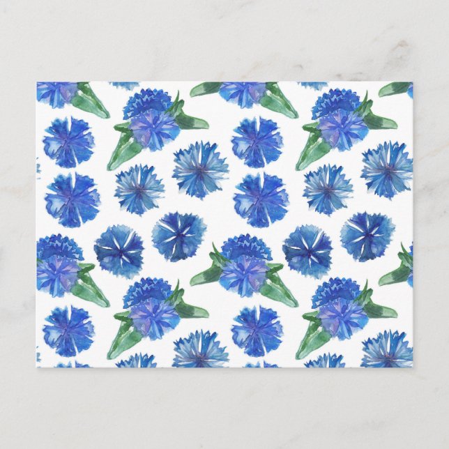 Carte Postale Belle aquarelle bleu cornfleurs (Devant)