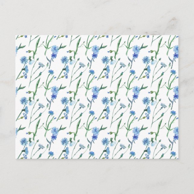 Carte Postale Belle aquarelle cornfleurs (Devant)