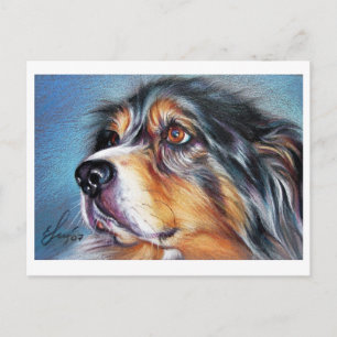 Carte Postale Belle Aussie