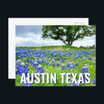 Carte Postale Belle Bluebonnets Austin Texas Photographie<br><div class="desc">Une belle photo de bleuets Austin Texas dans un champ de nature fait une jolie carte postale pour un Texan qui aime les fleurs sauvages. C'est la fleur de l'état et apporte une grande fierté.</div>