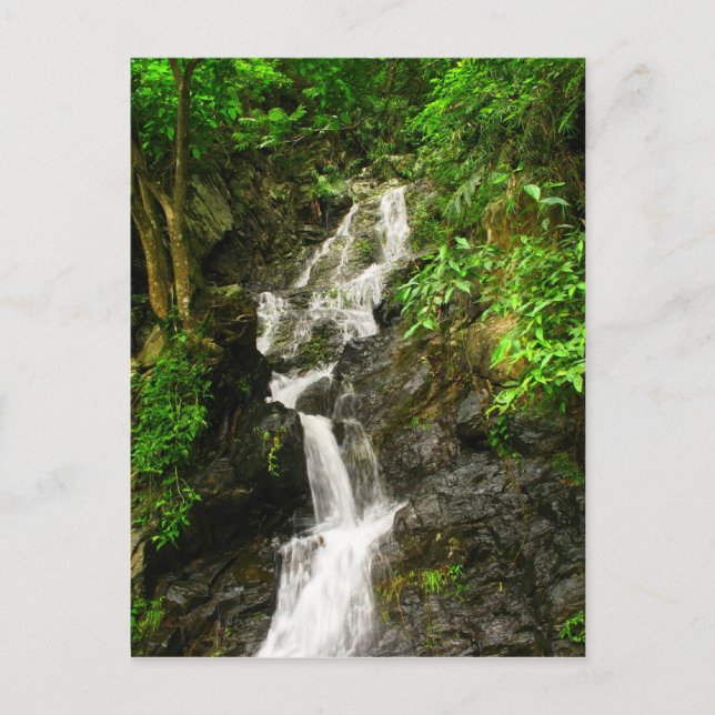 Carte Postale Belle cascade dans une forêt verdoyante (Devant)