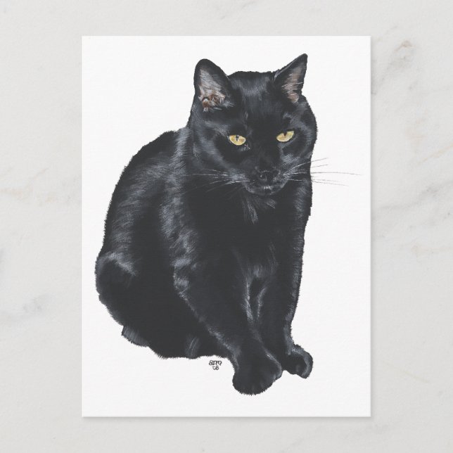 Carte Postale Belle Chat Noir (Devant)