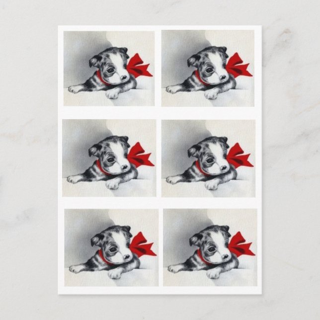 Carte Postale Belle Chiot Vintage Boston Terrier (Devant)