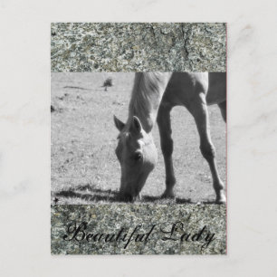 Carte Postale Belle Dame