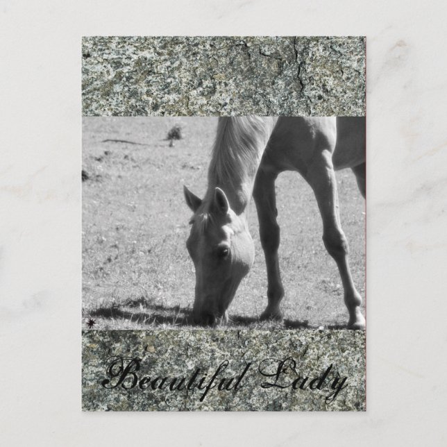 Carte Postale Belle Dame (Devant)