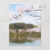 Belle fleur de cerisier et étang