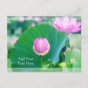 Carte Postale Belle floraison rose Lotus Bud Fleur verte feuille