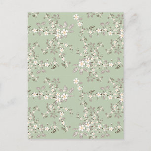 Carte Postale Belle floraison vintage des arbres fleurs blanches