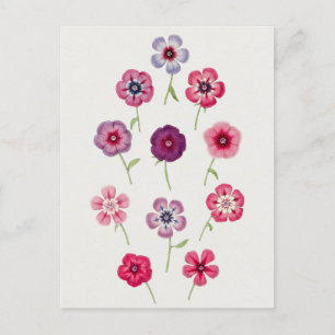 Carte Postale Belle illustration botanique Vintage