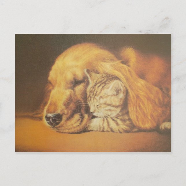 Carte Postale Belle Impression d'Art de Chat et Chien Amazing qu (Devant)