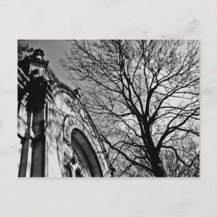 Carte Postale Belle journée dans le cimetière en noir et blanc