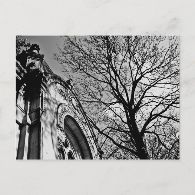 Carte Postale Belle journée dans le cimetière en noir et blanc (Devant)