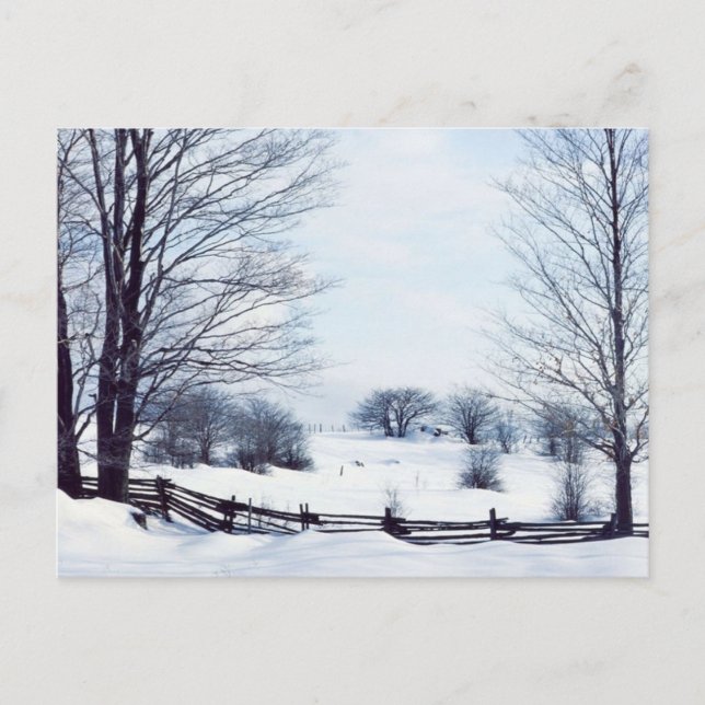 Carte Postale Belle Journée d'hiver (Devant)