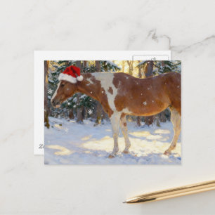 Carte Postale Belle jument Paint Horse de Noël