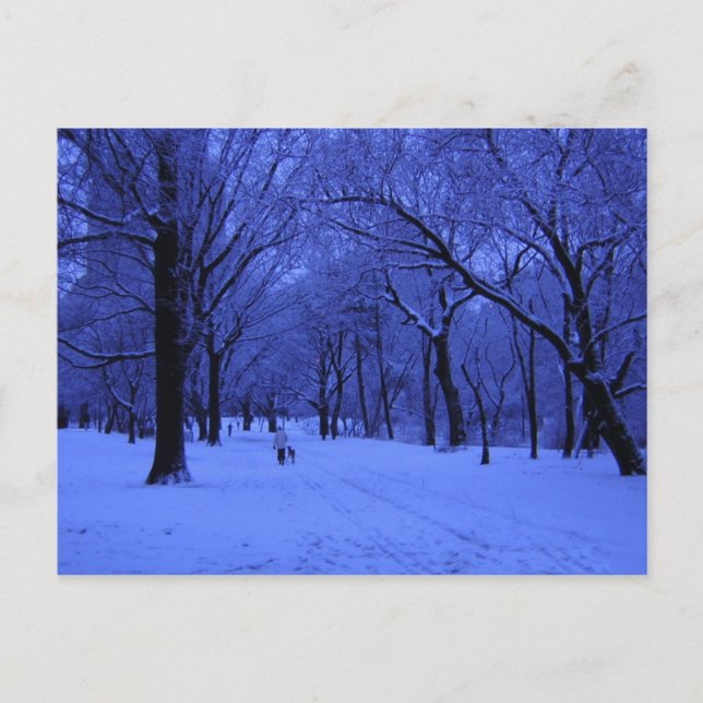 CARTE POSTALE BELLE MARCHE (Devant)