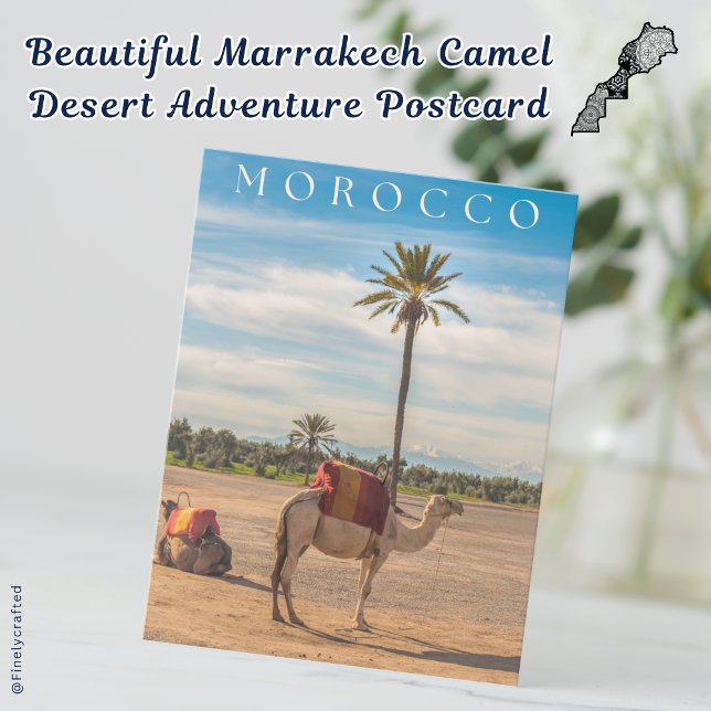 Carte Postale Belle Marrakech Camel Desert Adventure (Créateur téléchargé)