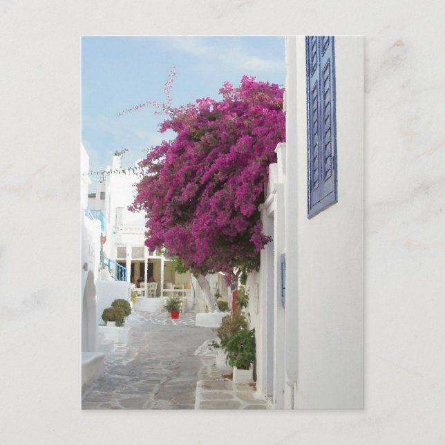 Carte Postale Belle Mykonos (Devant)