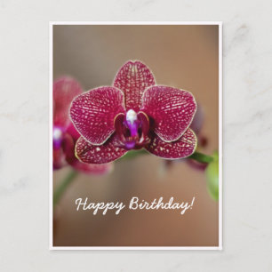 Carte Postale Belle orchidée rouge