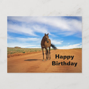 Carte Postale Belle photo d'anniversaire de cheval brun sur la r