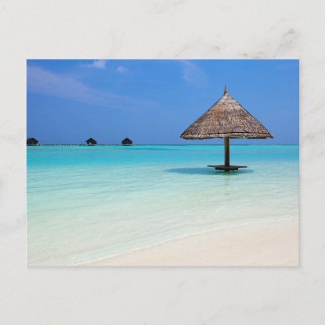 Carte Postale Belle plage tropicale aux Maldives (Devant)
