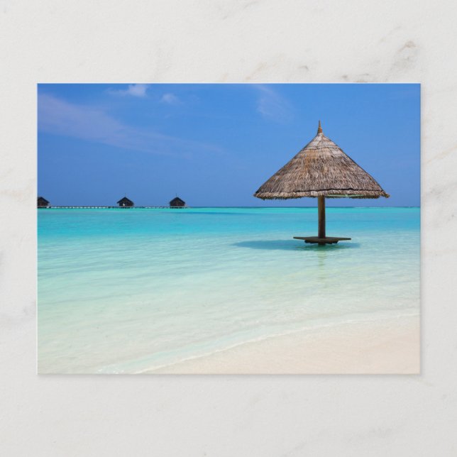 Carte Postale Belle plage tropicale aux Maldives (Devant)