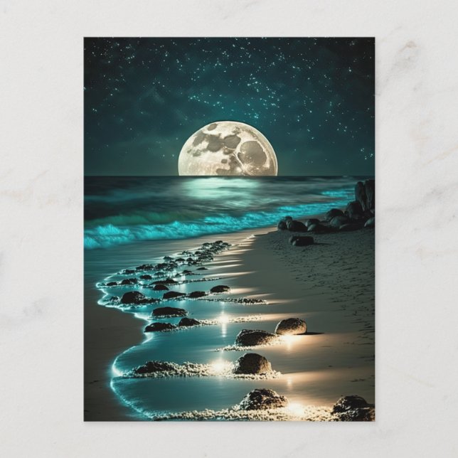 Carte Postale Belle Pleine lune Plage Océan étoile Nuit (Devant)