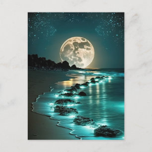 Carte Postale Belle Pleine lune Plage Océan étoile Nuit