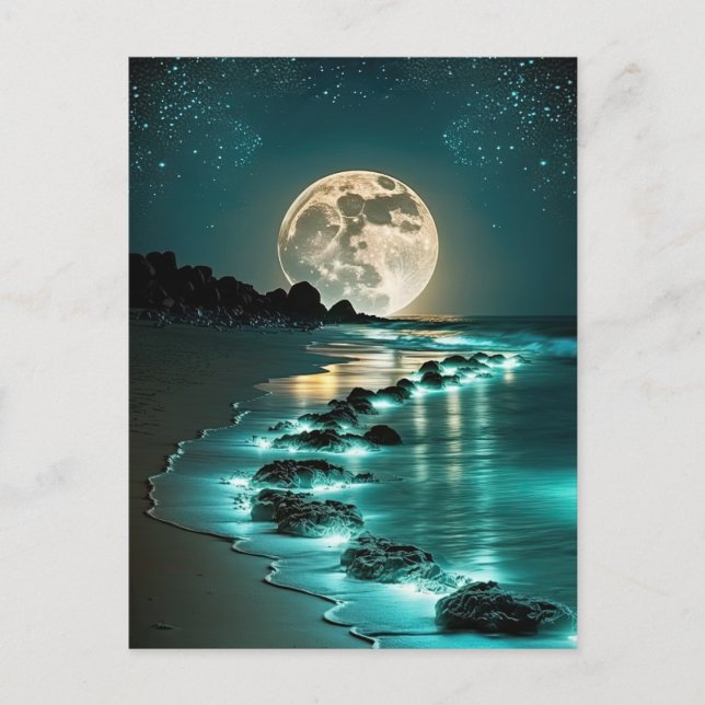 Carte Postale Belle Pleine lune Plage Océan étoile Nuit (Devant)
