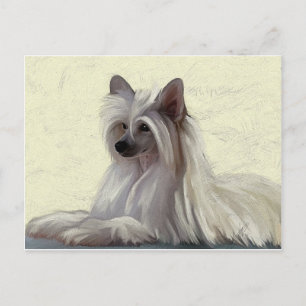 Carte Postale Belle purée de poudre huppée chinoise